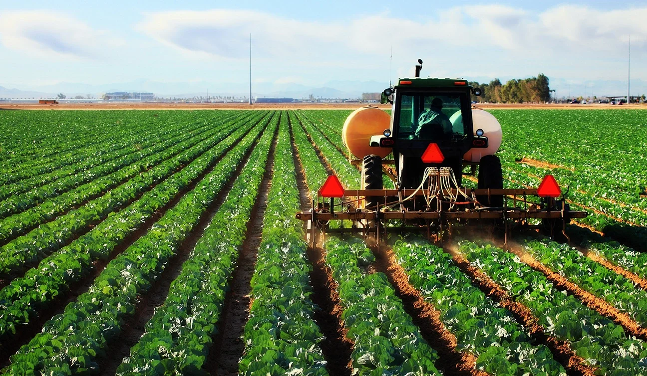 Harvester collecting crops