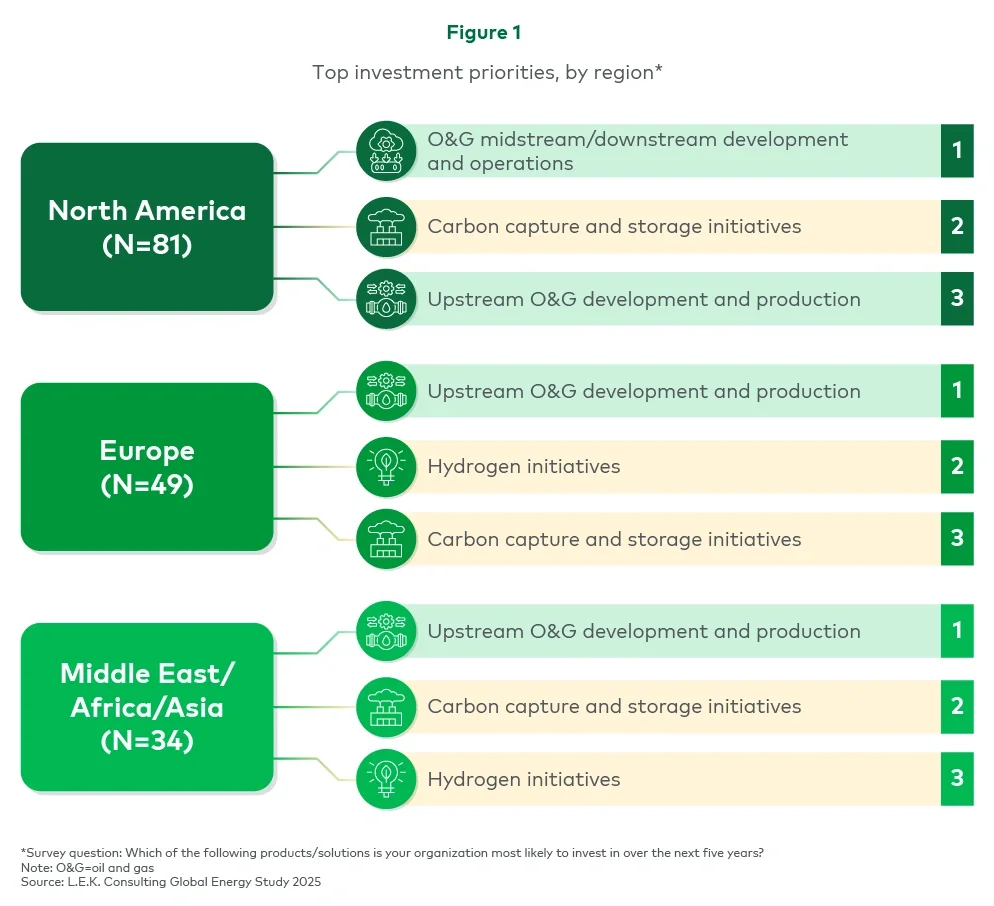 Figure 1. Top investment priorities, by region